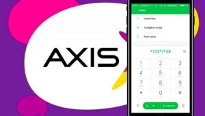 Cara Cek Data AXIS