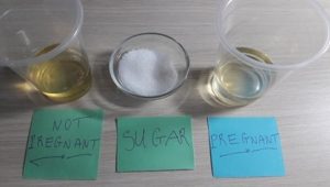 Cara Cek Kehamilan dengan Gula
