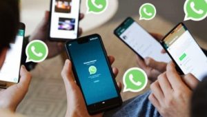Cara Download Video Status WhatsApp