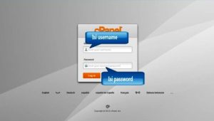 Cara Login cPanel