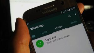Cara Melihat Status WA Tanpa Berteman