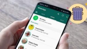 Cara Menghapus Status di WA