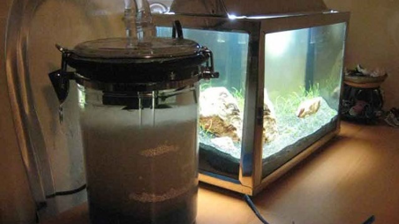 Cara Membuat Filter Aquarium (2 Metode) : Aquarium Spons dan Kapsul