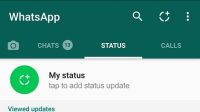 Cara Membuat Status WhatsApp