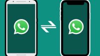 Cara Memindahkan WhatsApp iPhone ke Android