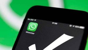 Cara WhatsApp Centang Satu Tapi Online Tanpa Aplikasi