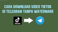 Cara Download Video Tiktok Tanpa Watermark di Telegram