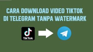 Cara Download Video Tiktok Tanpa Watermark di Telegram