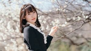 Cara Kuliah di Jepang