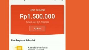 Cara Mengajukan Pinjaman di Shopee