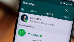 Cara Ambil Status WA Tanpa Aplikasi